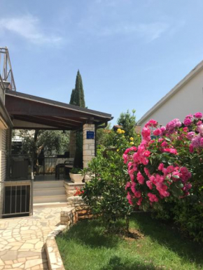 App Sorgo, Novigrad